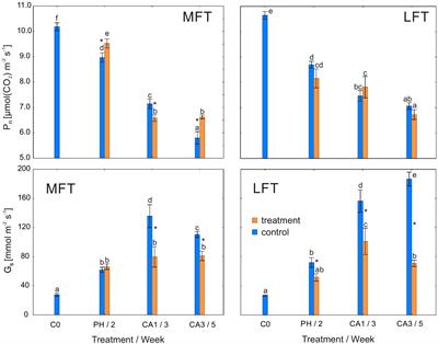 Diverse Stomatal Behaviors Mediating Photosynthetic Acclimation to Low Temperatures in Hordeum vulgare